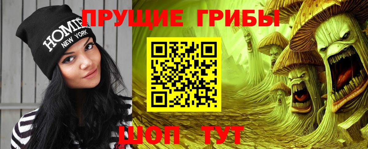 Нижнеудинск  Галлюциногенные грибы Cubensis  Вход с VPN 
